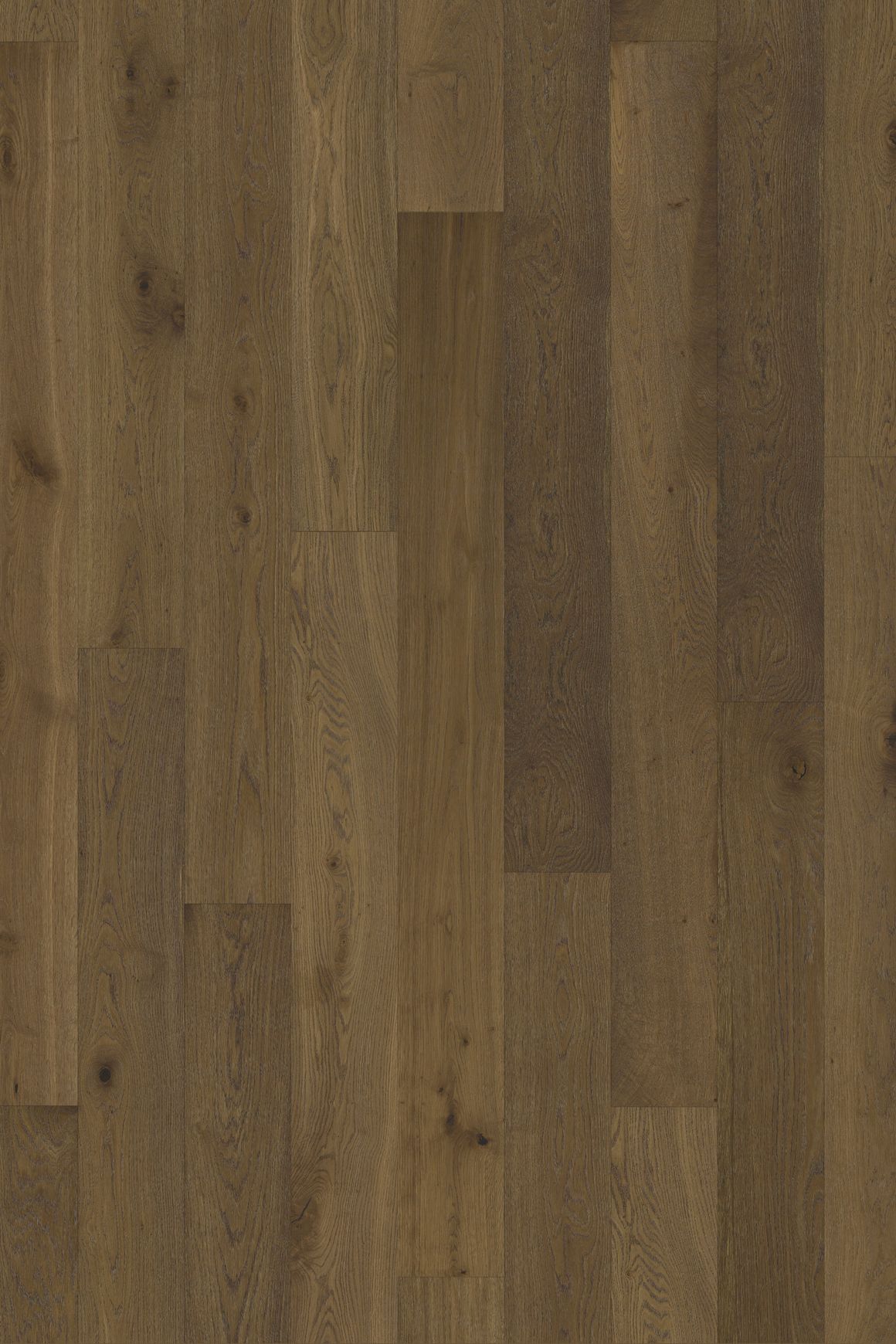 Oak Joy