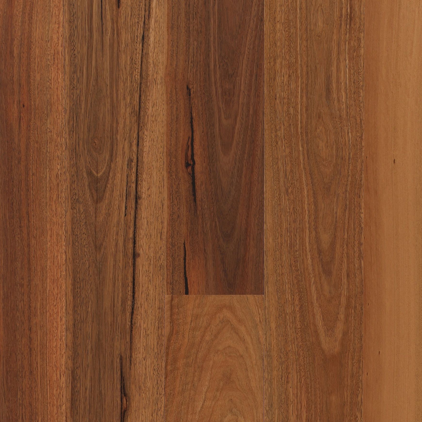 Maculata | Aloura Collection