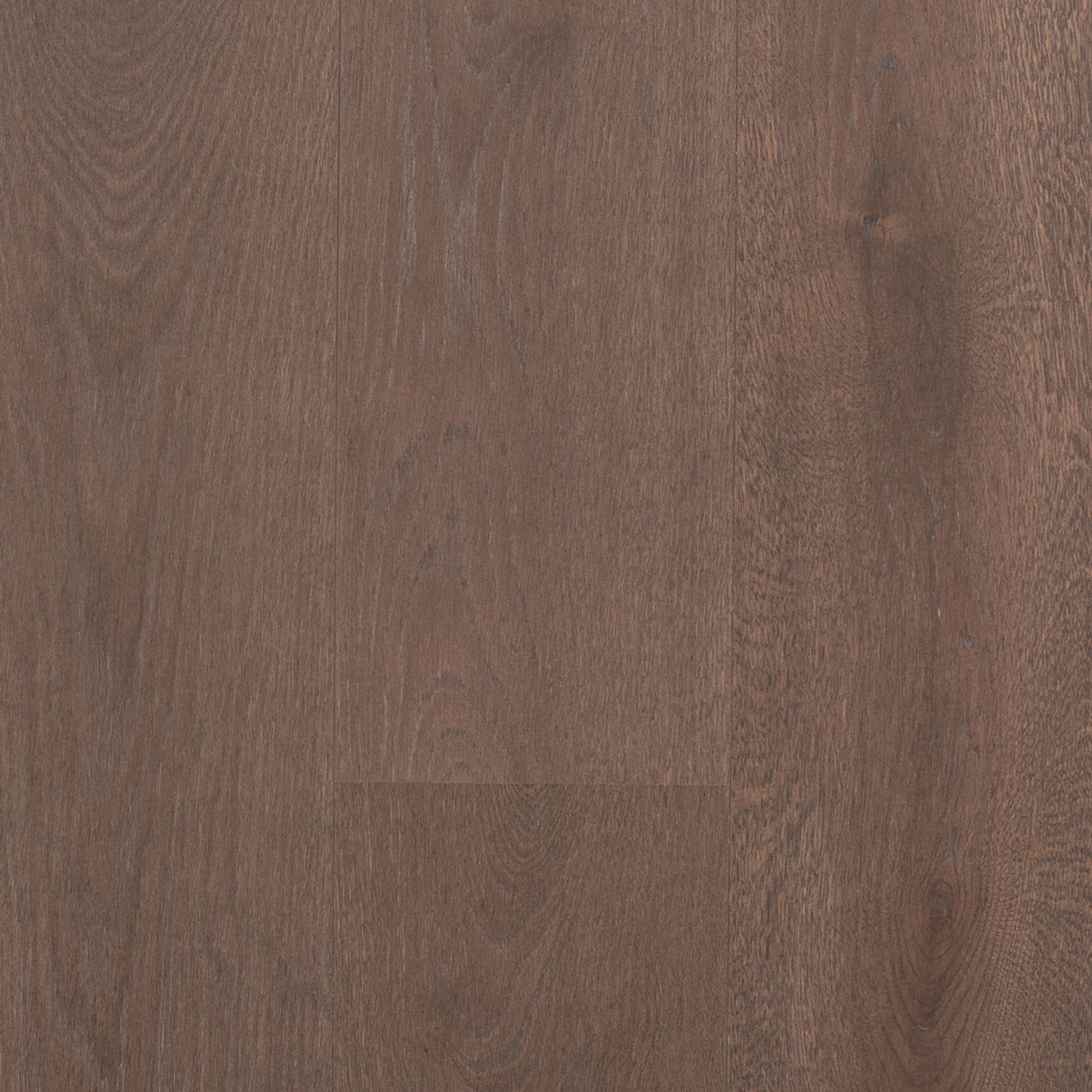 Boen Castle 209 Live Pure Elephant Grey | Espressivo Grade
