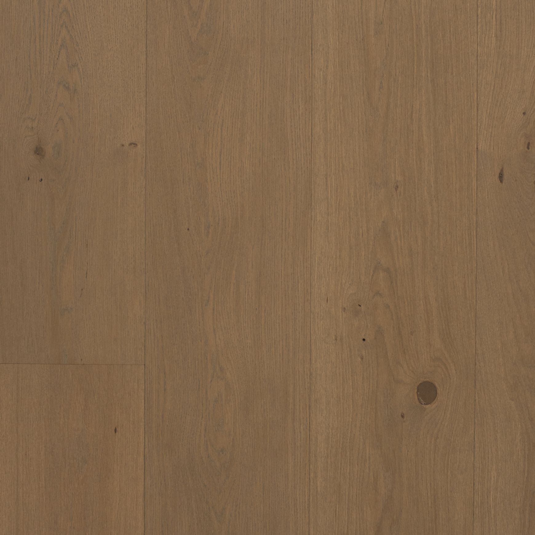 Boen 181 Live Natural Sand | Animoso Grade