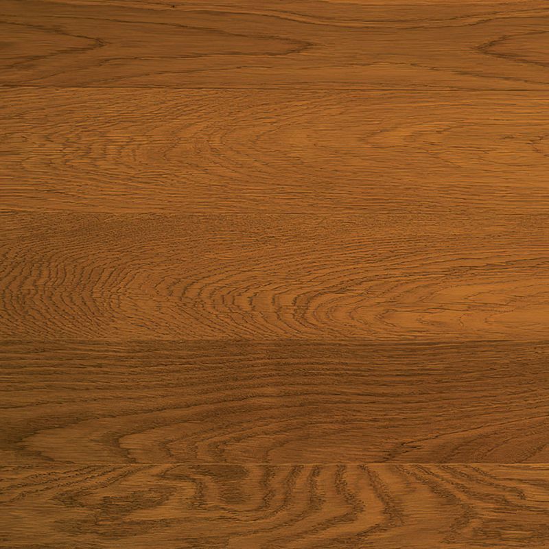 HW16406 Bronzo Plank