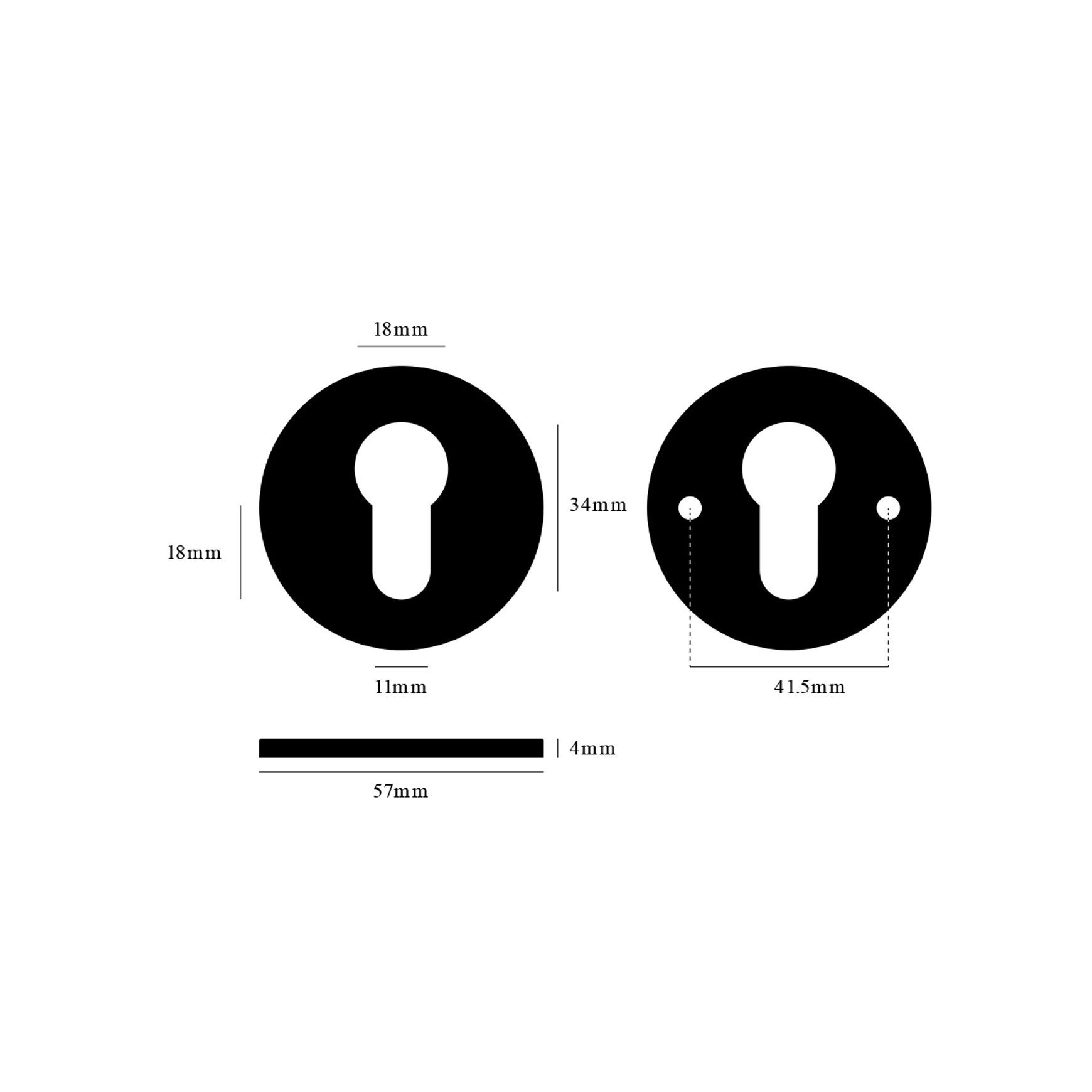 Buster and Punch Escutcheon Plate Euro Profile