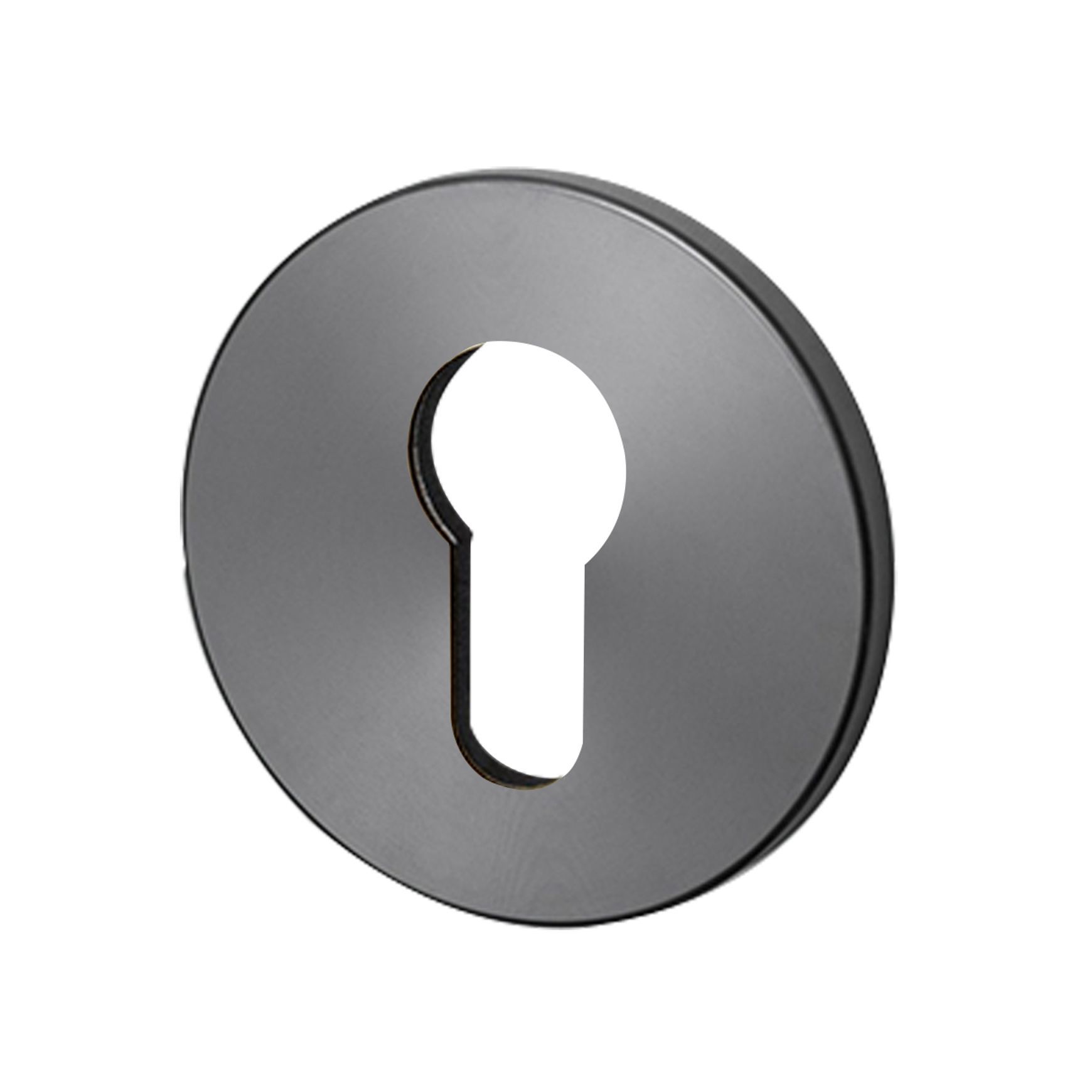 Buster and Punch Escutcheon Plate Euro Profile