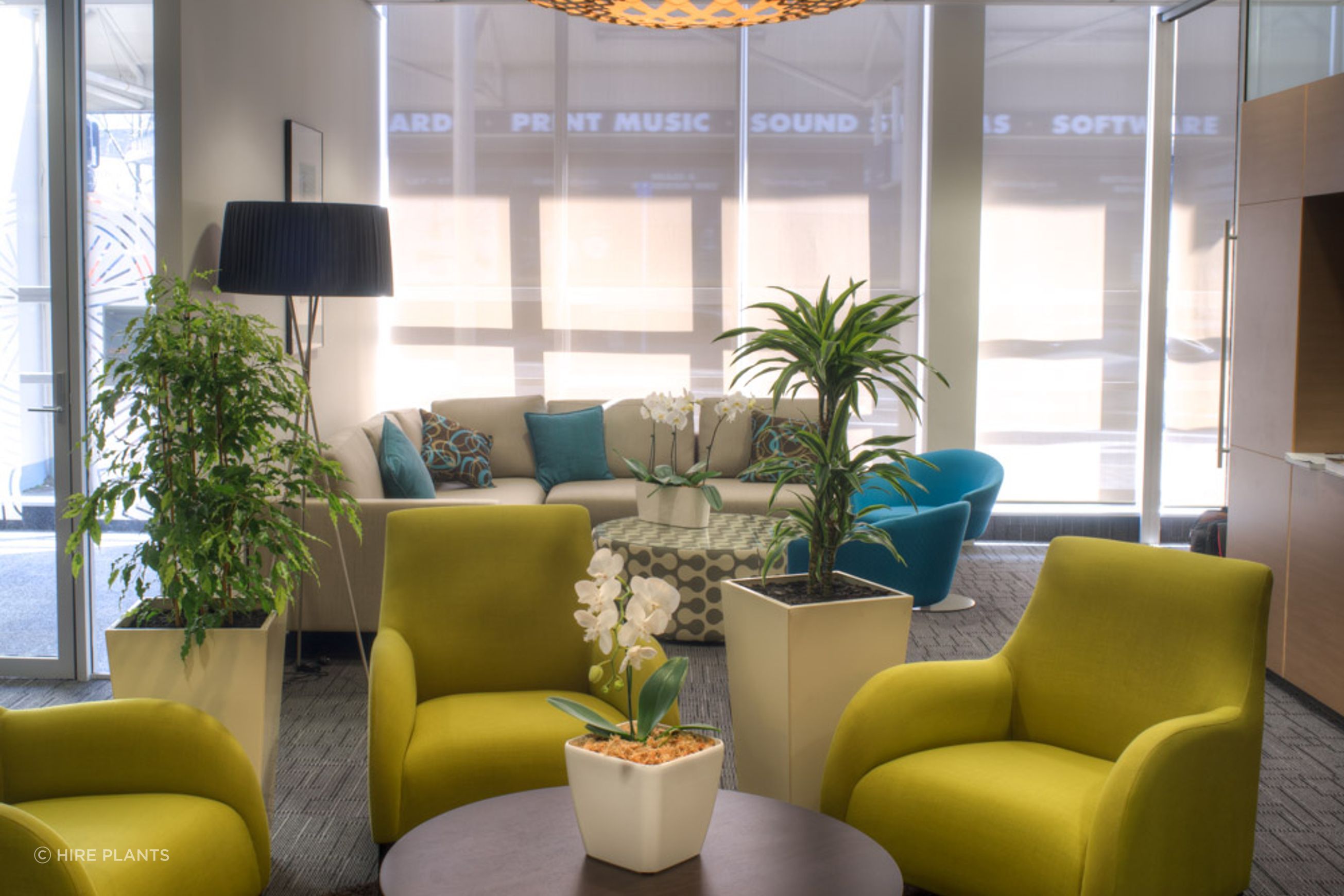 Indoor Plant Hire | Hire Plants