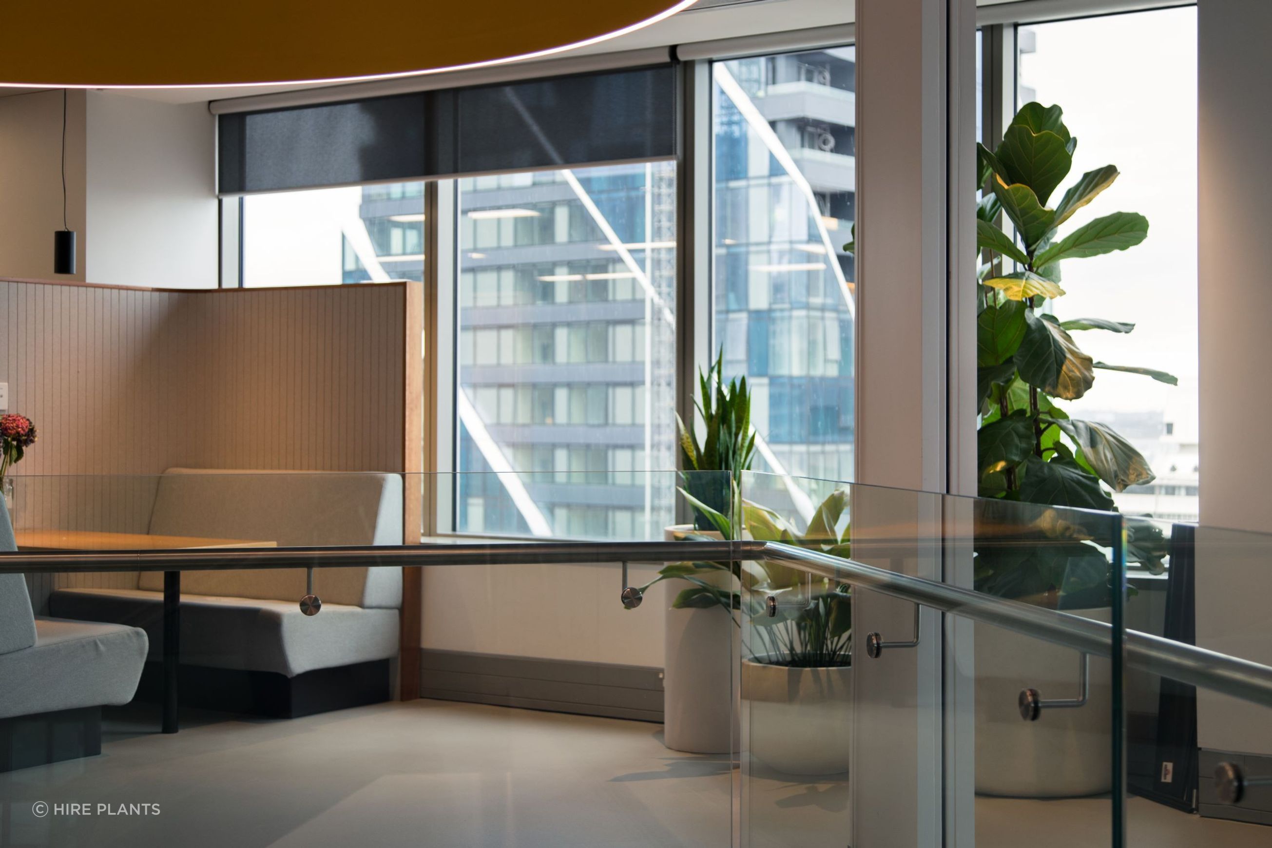 Indoor Plant Hire | Hire Plants