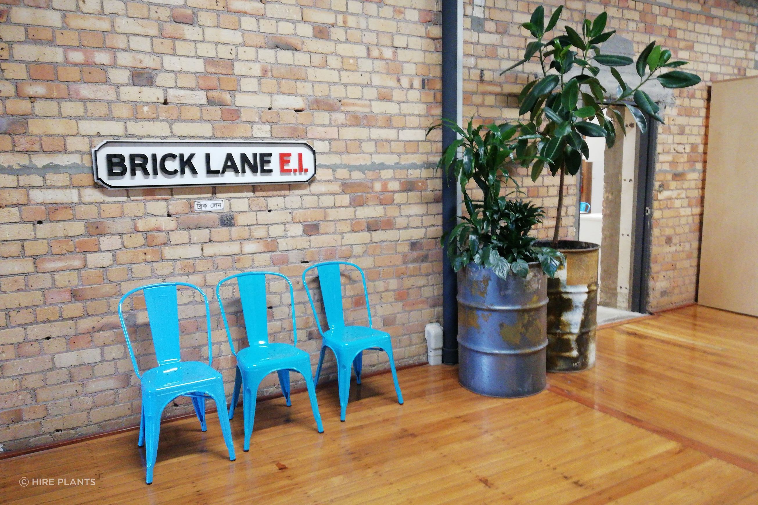 Indoor Plant Hire | Hire Plants