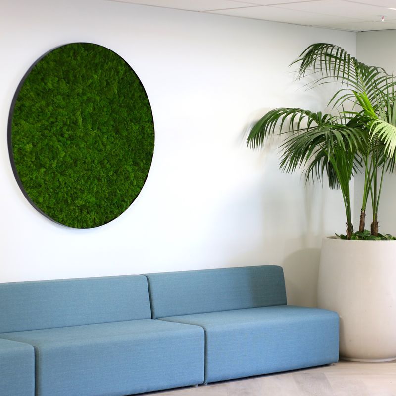 Reindeer Moss Panels | Hire Plants