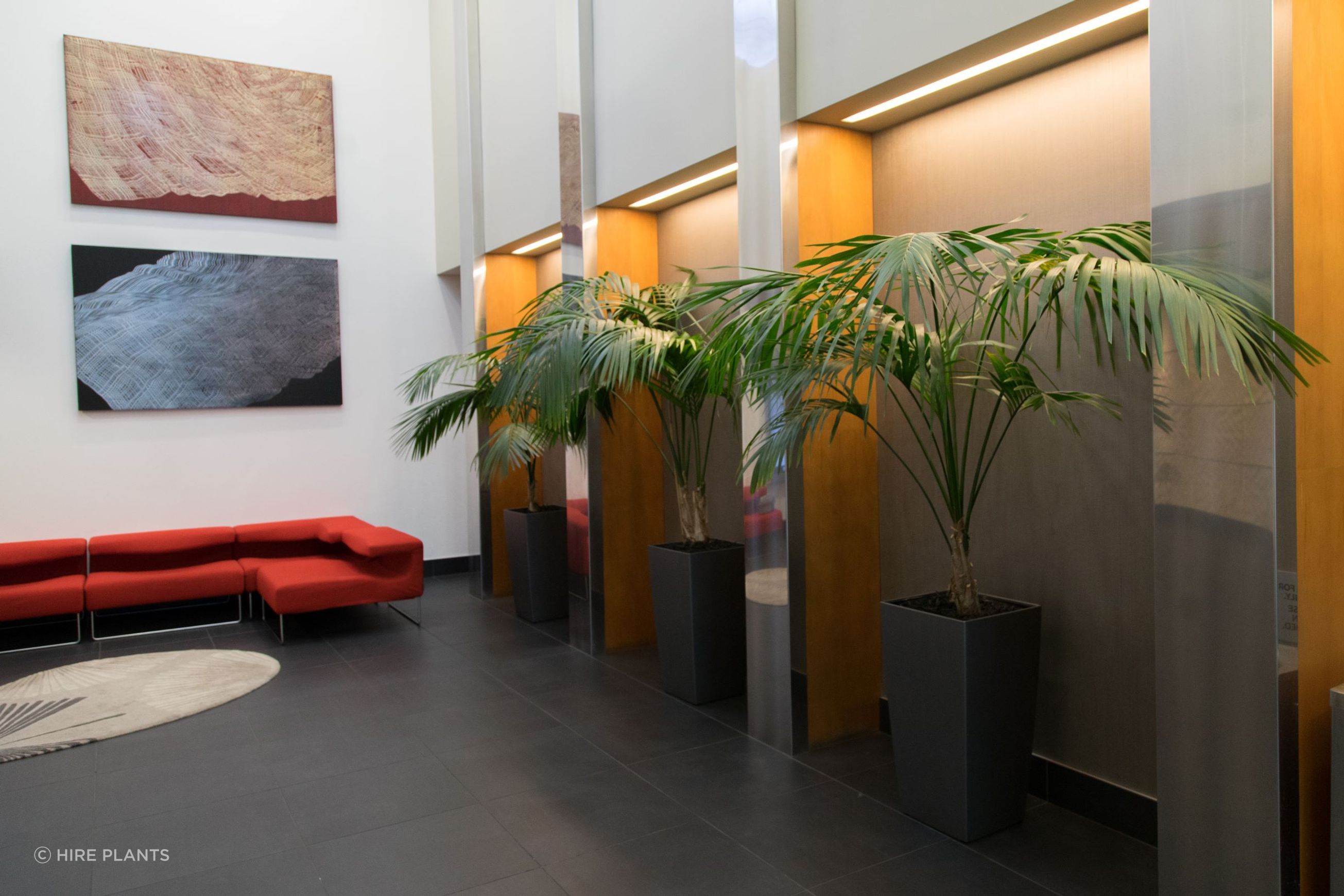 Indoor Plant Hire | Hire Plants