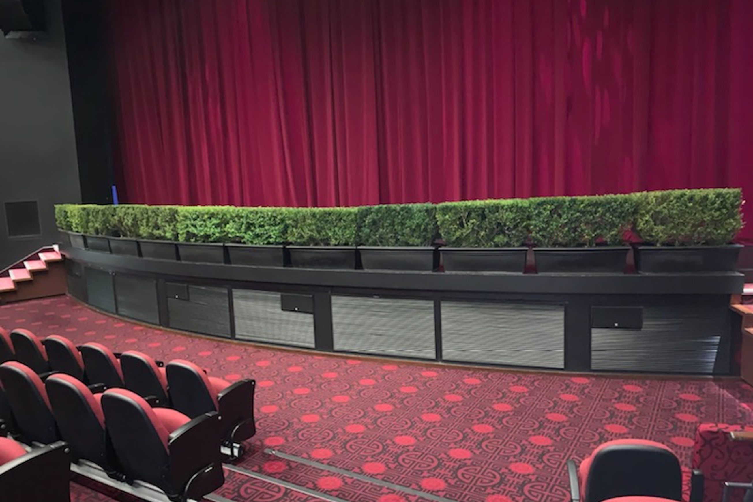 Plant Hire For Events | Hire Plants