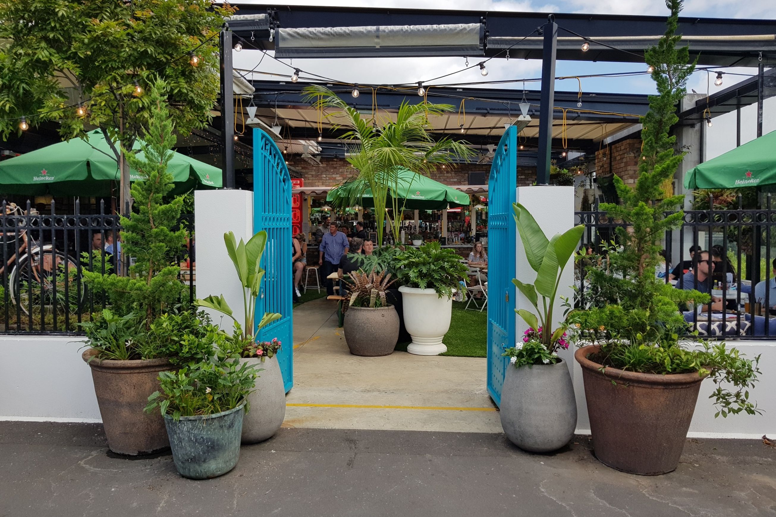 Outdoor Plant Hire | Hire Plants