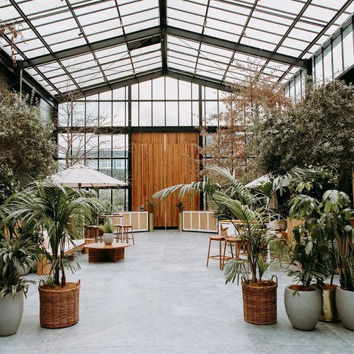 Plant Hire For Events | Hire Plants