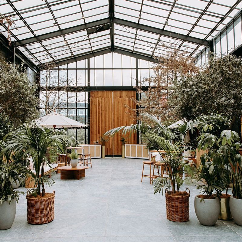 Plant Hire For Events | Hire Plants