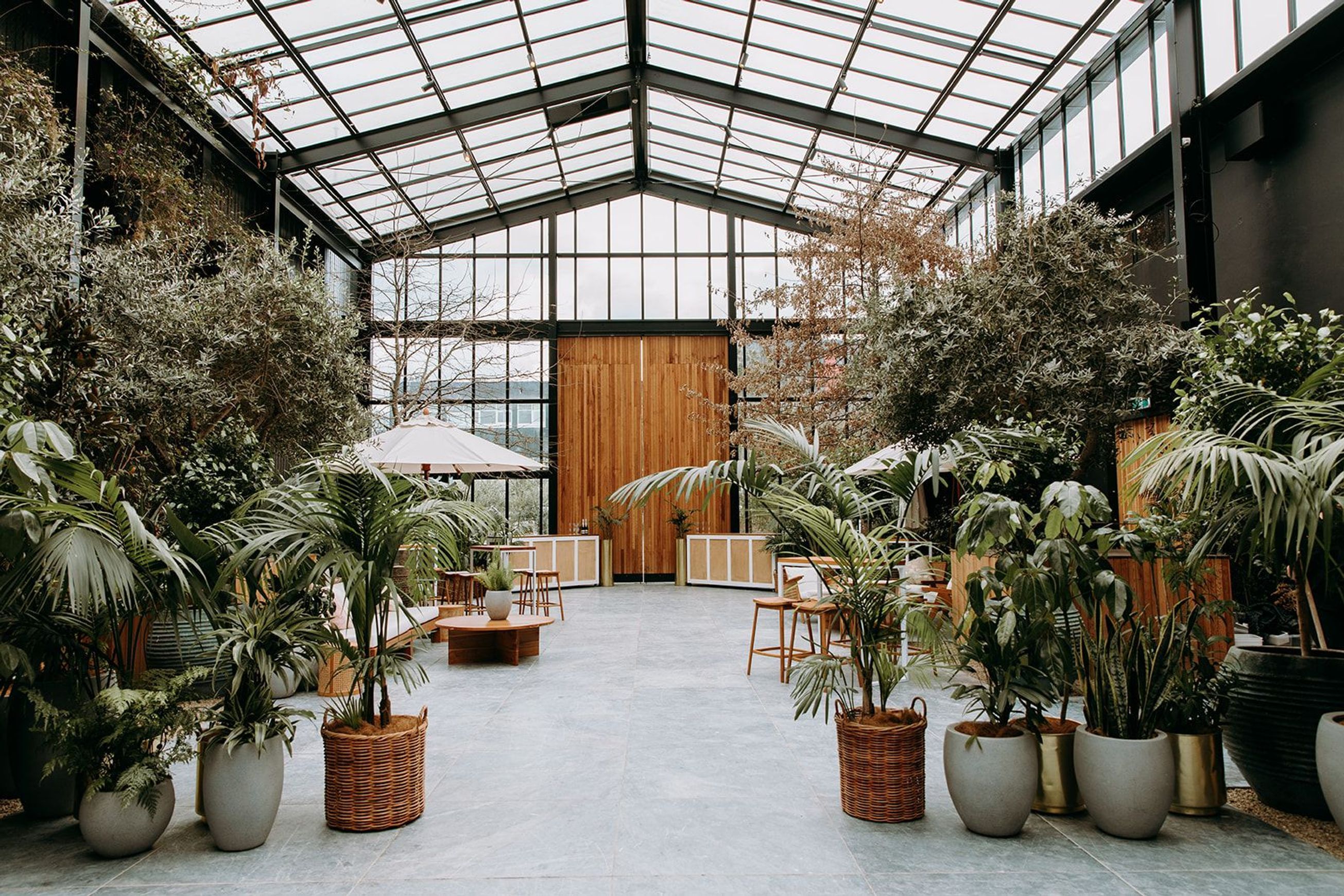 Plant Hire For Events | Hire Plants