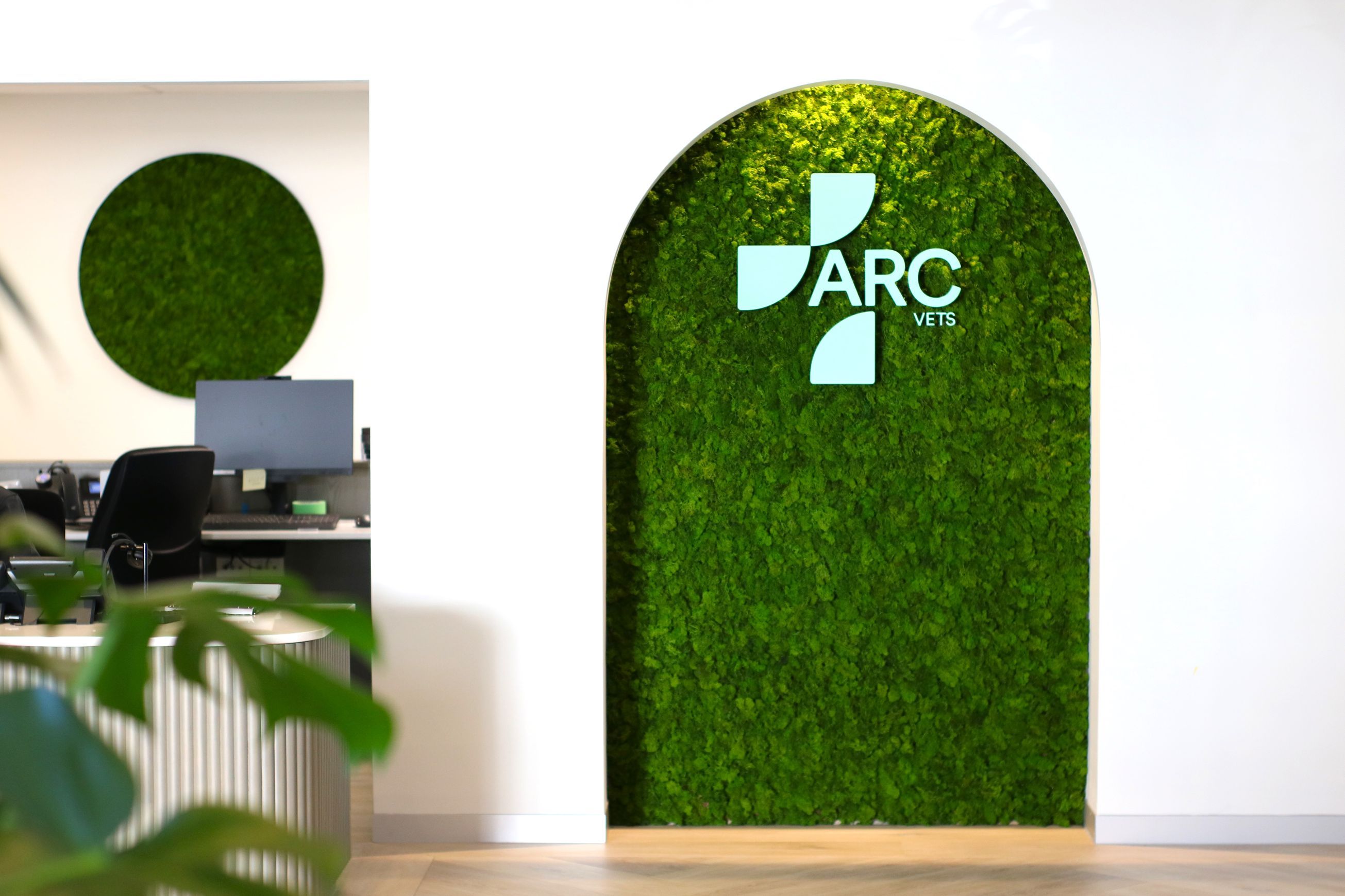 Reindeer Moss Panels | Hire Plants