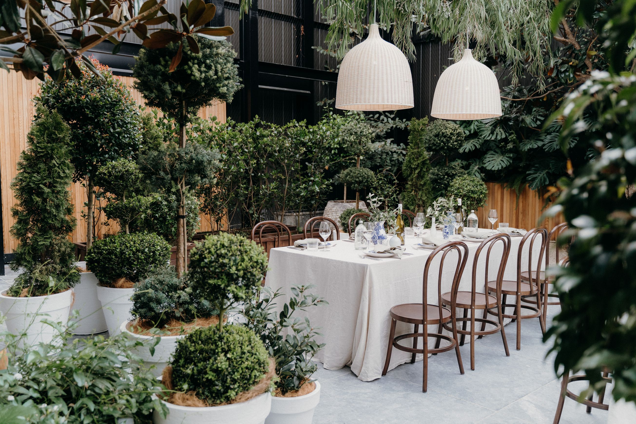 Plant Hire For Events | Hire Plants