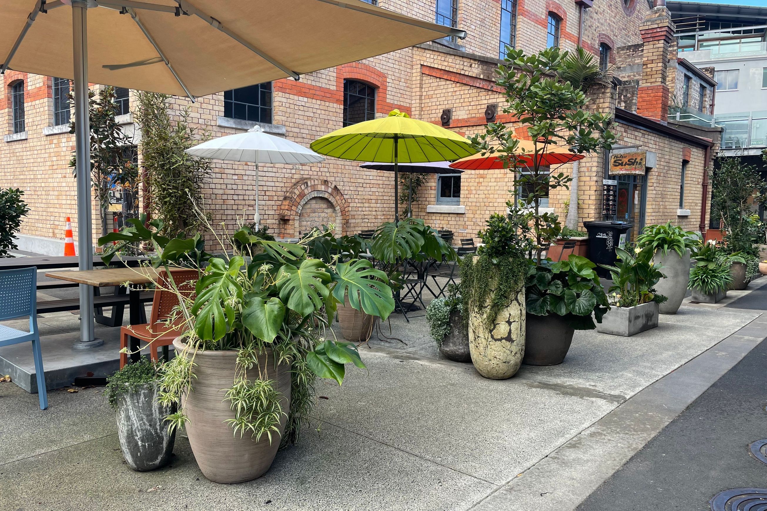 Outdoor Plant Hire | Hire Plants
