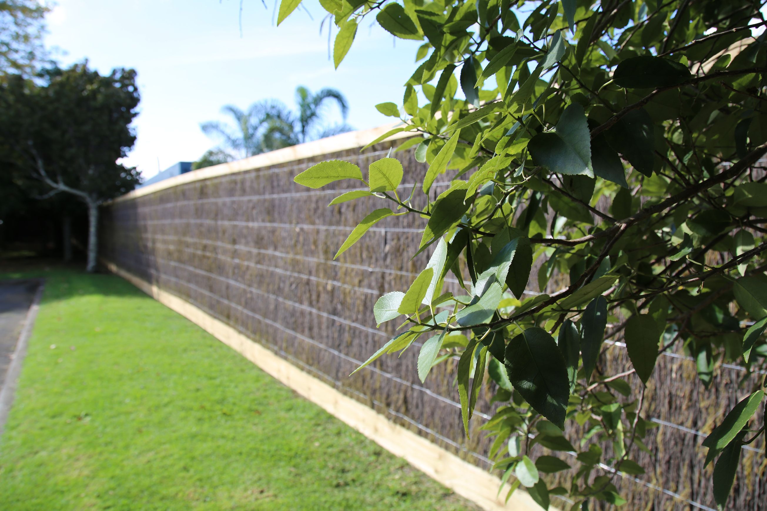 Brushwood Fencing Panels