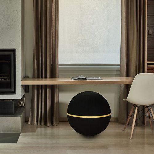 Wellness Ball Active Sitting | Exercise Ball 