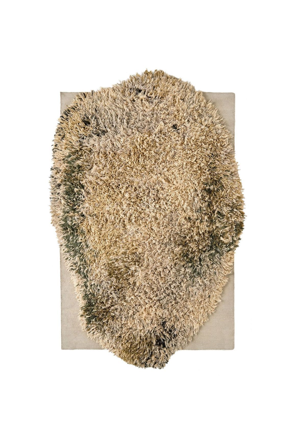Alga Collection
