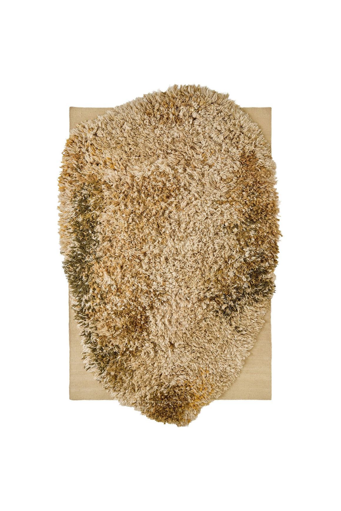 Alga Collection