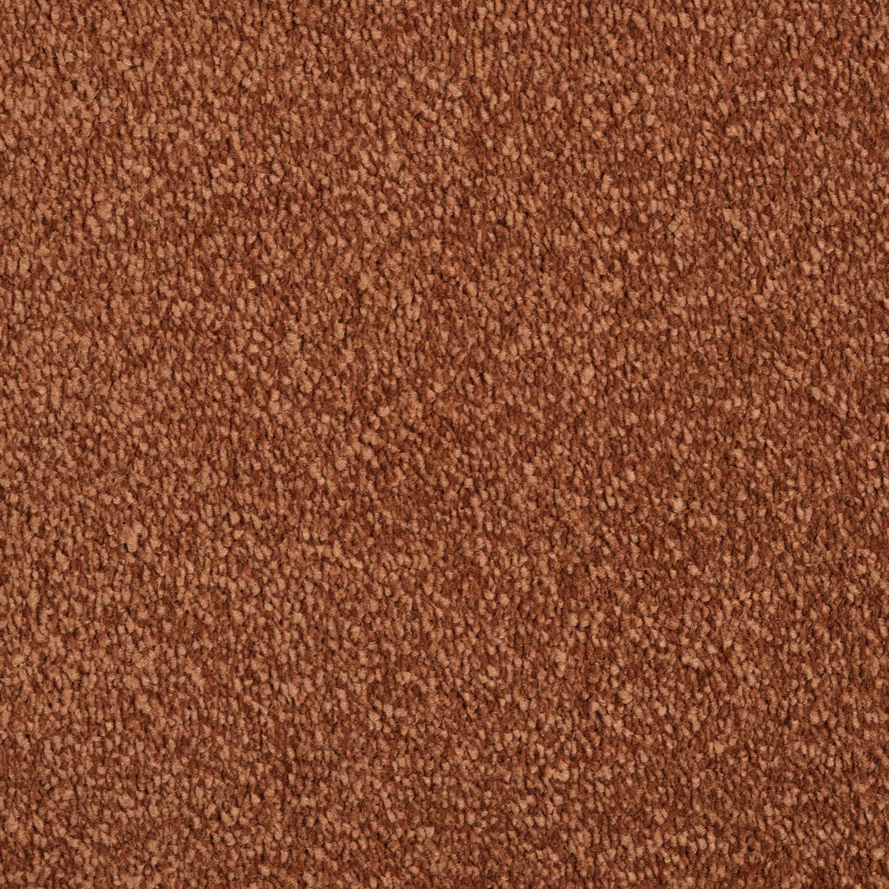 Evoke 2611