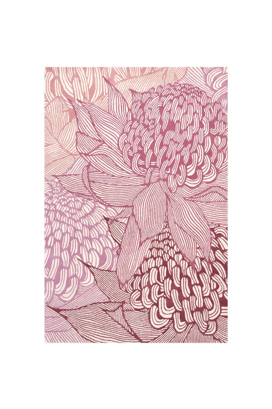 Telopea Bloom l  Hand Tufted Rugs