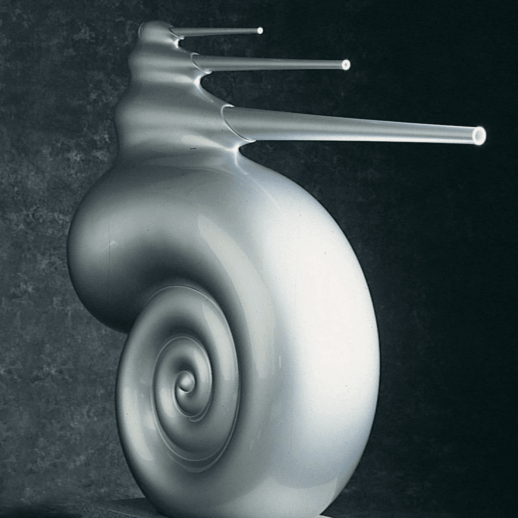 Bowers & Wilkins Nautilus Loudspeaker