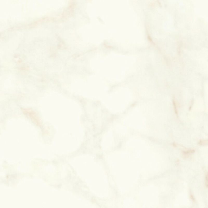 Calacatta Delicato Polish | Tile Space