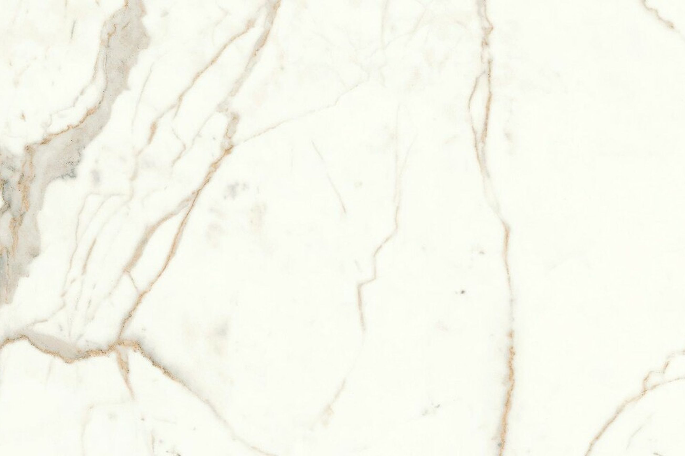 Calacatta Prestige Polish | Tile Space