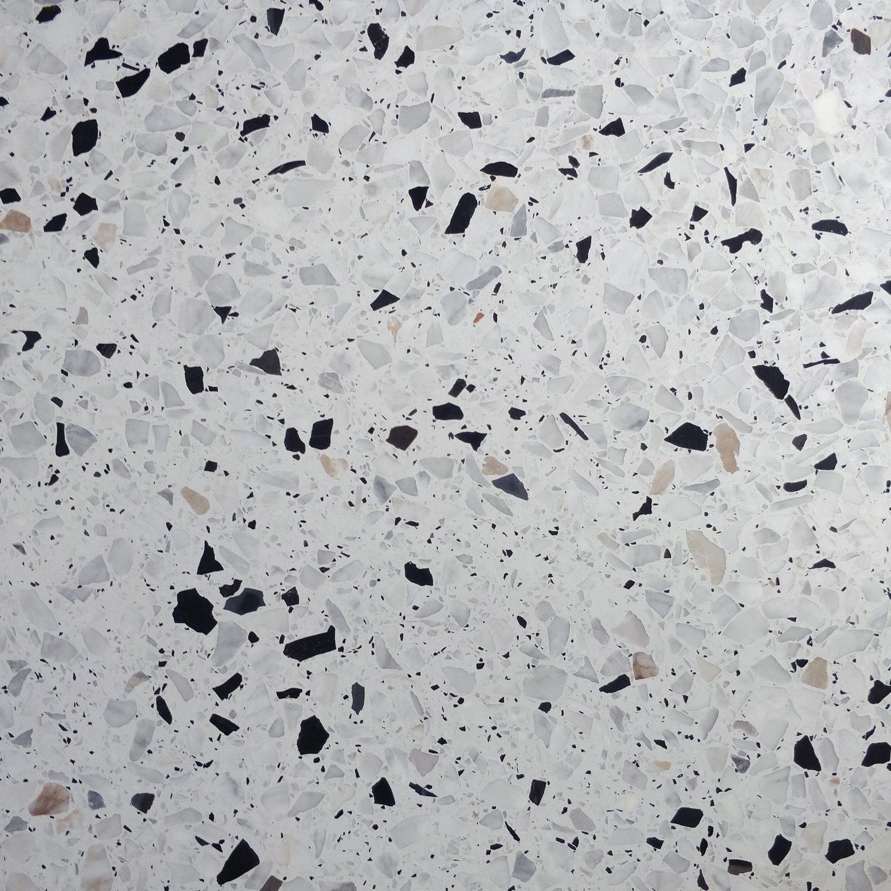 Terrazzo Grande - Dalmata