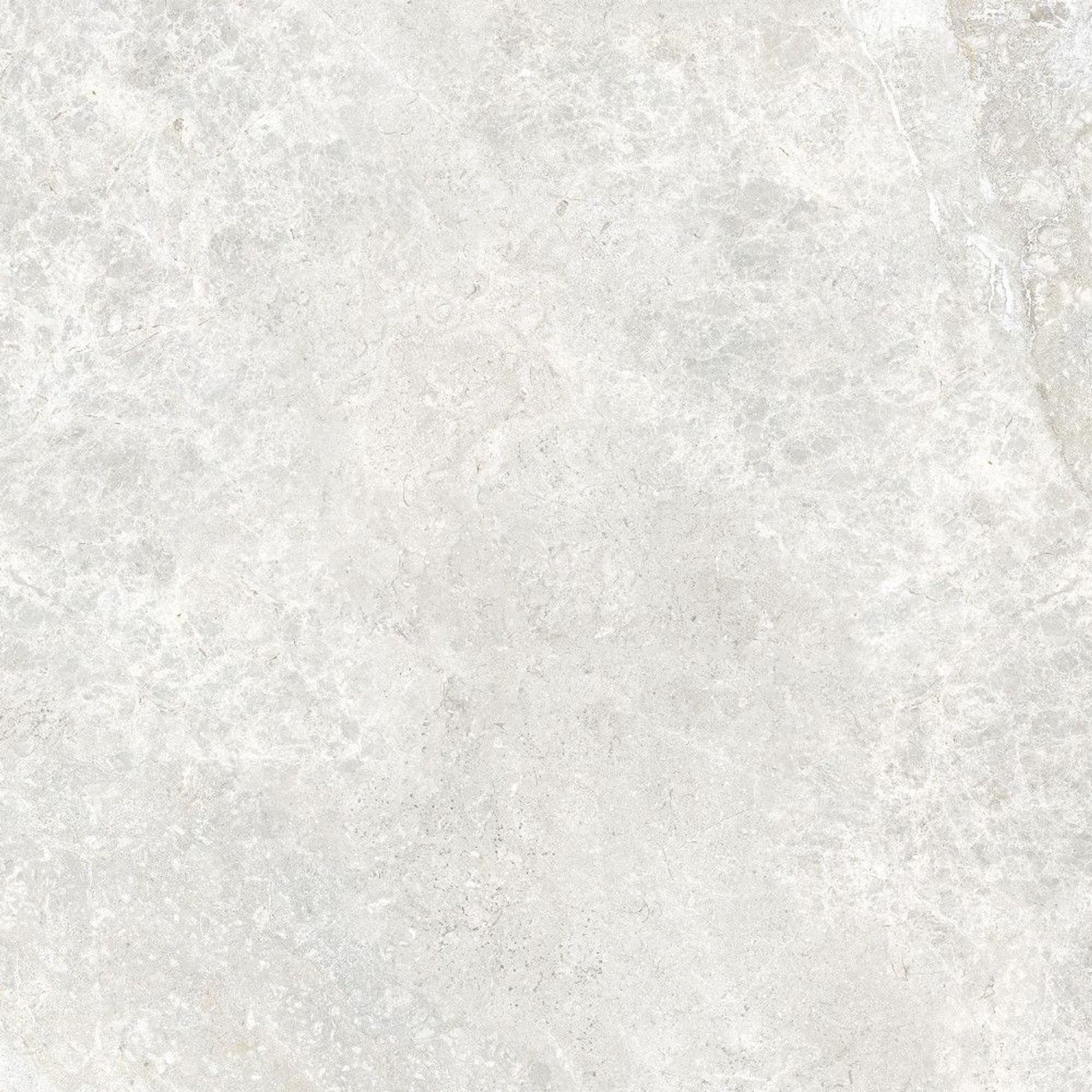 Arctic Tundra White Grip 60