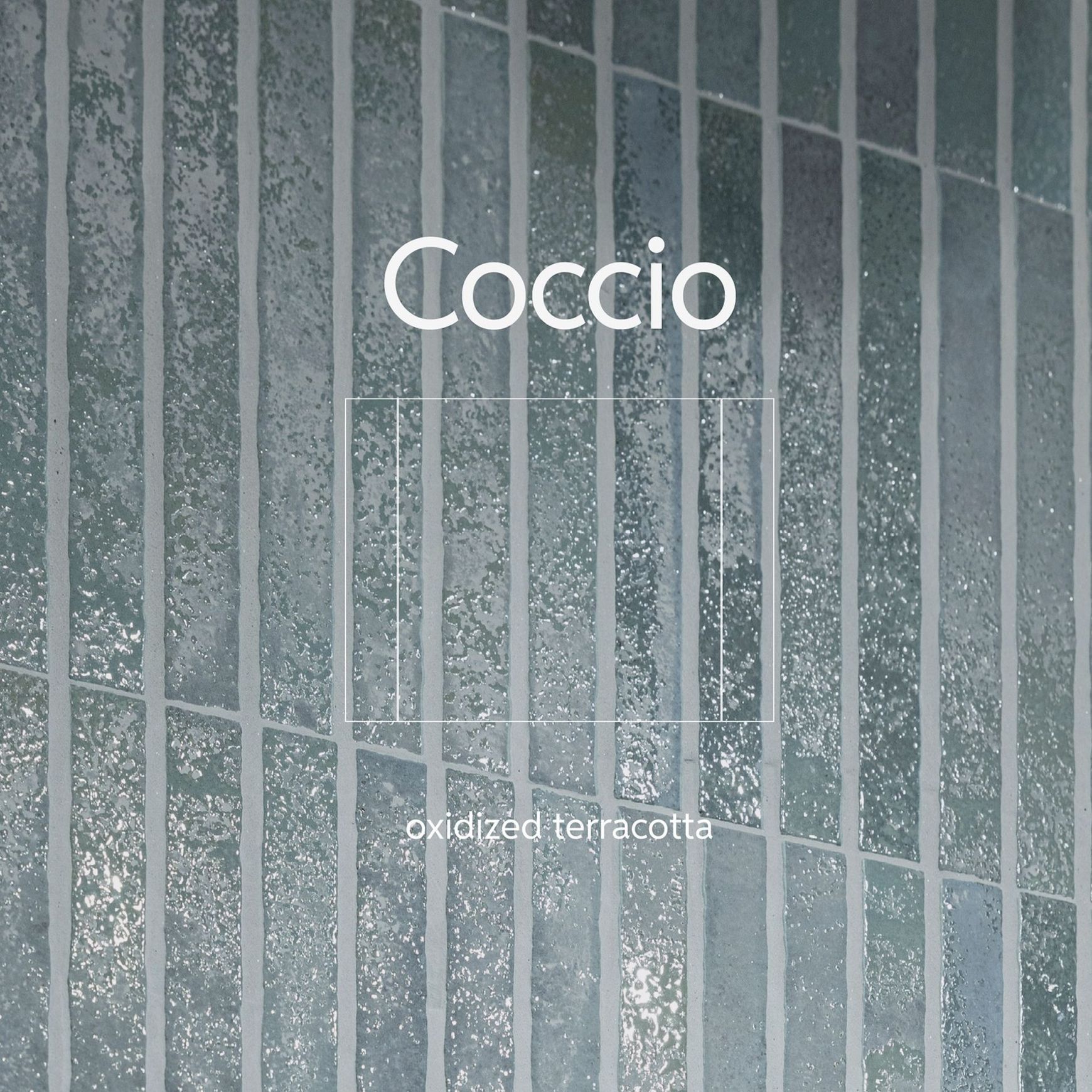 Coccio