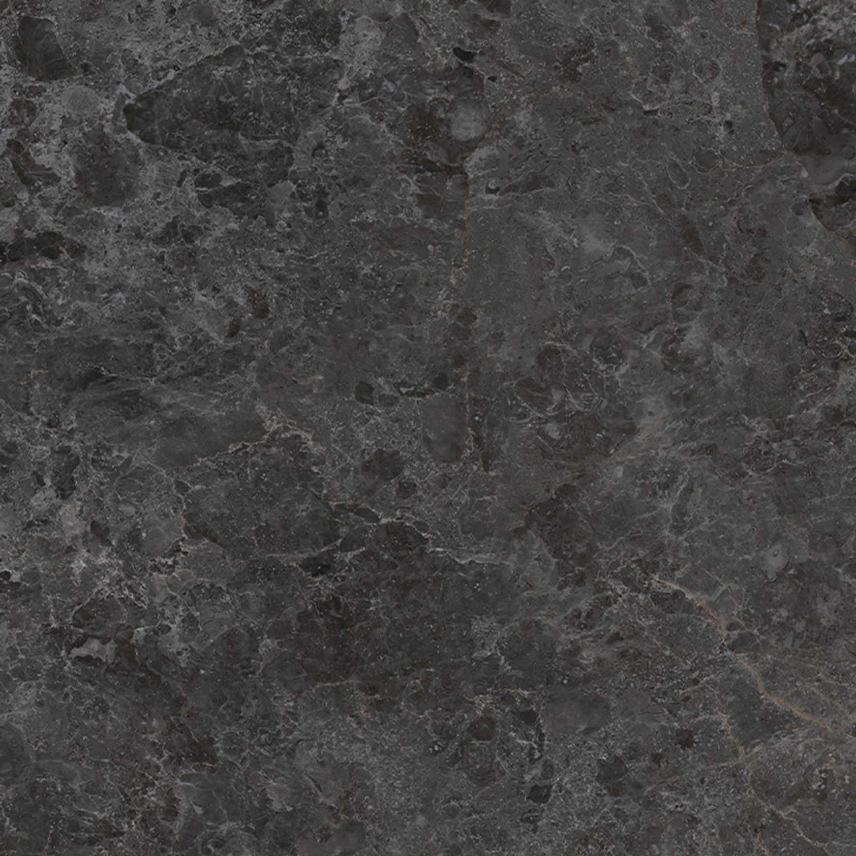 Pietra Marais Flor & Wall Tile