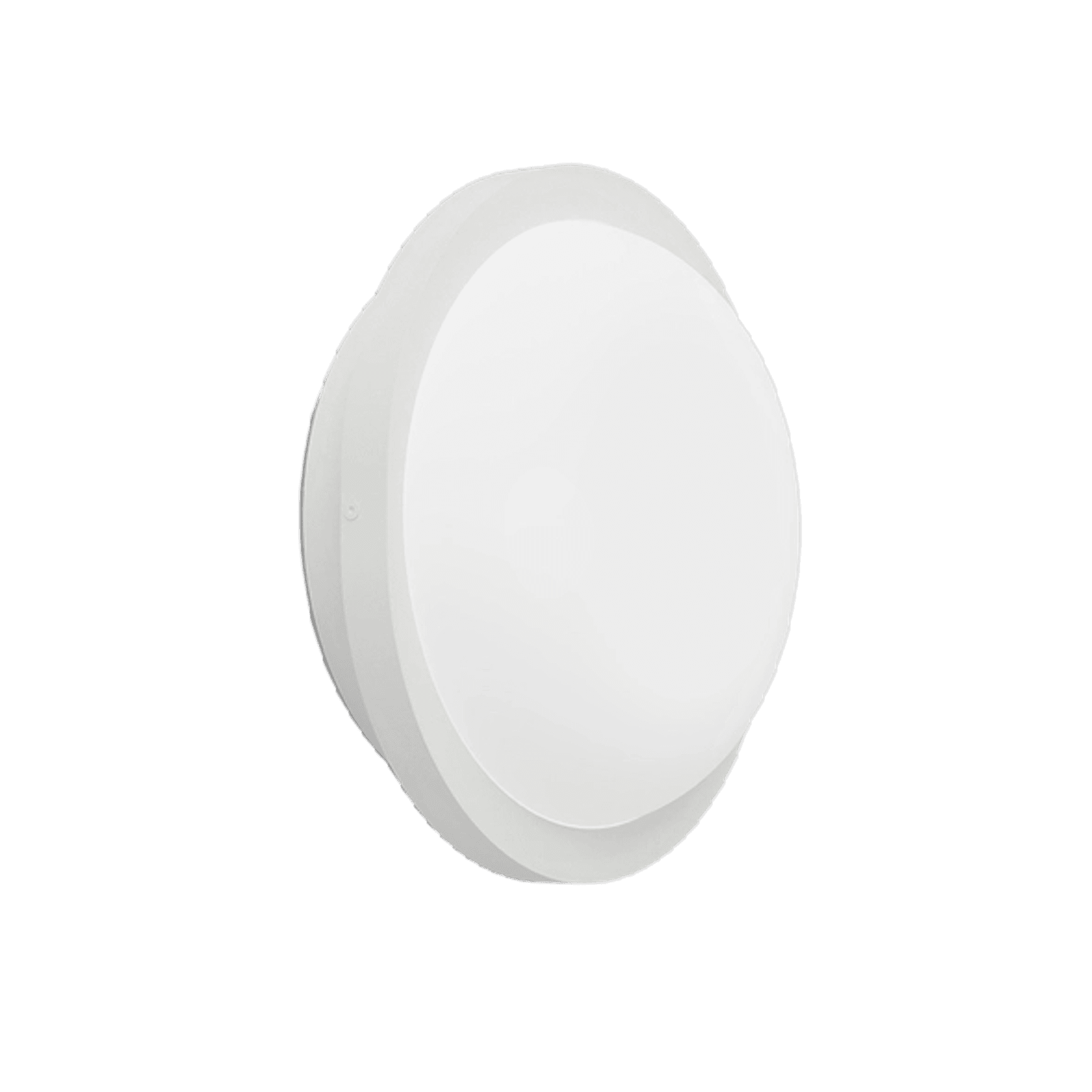Bode Round Wall/Ceiling Light