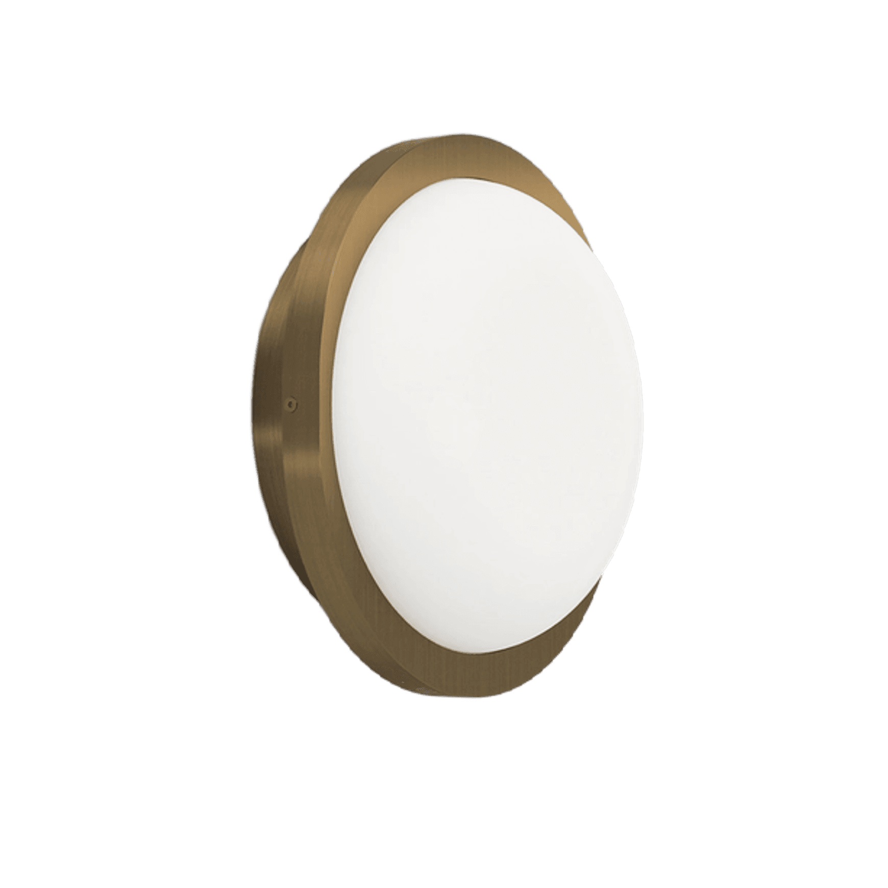 Bode Round Wall/Ceiling Light