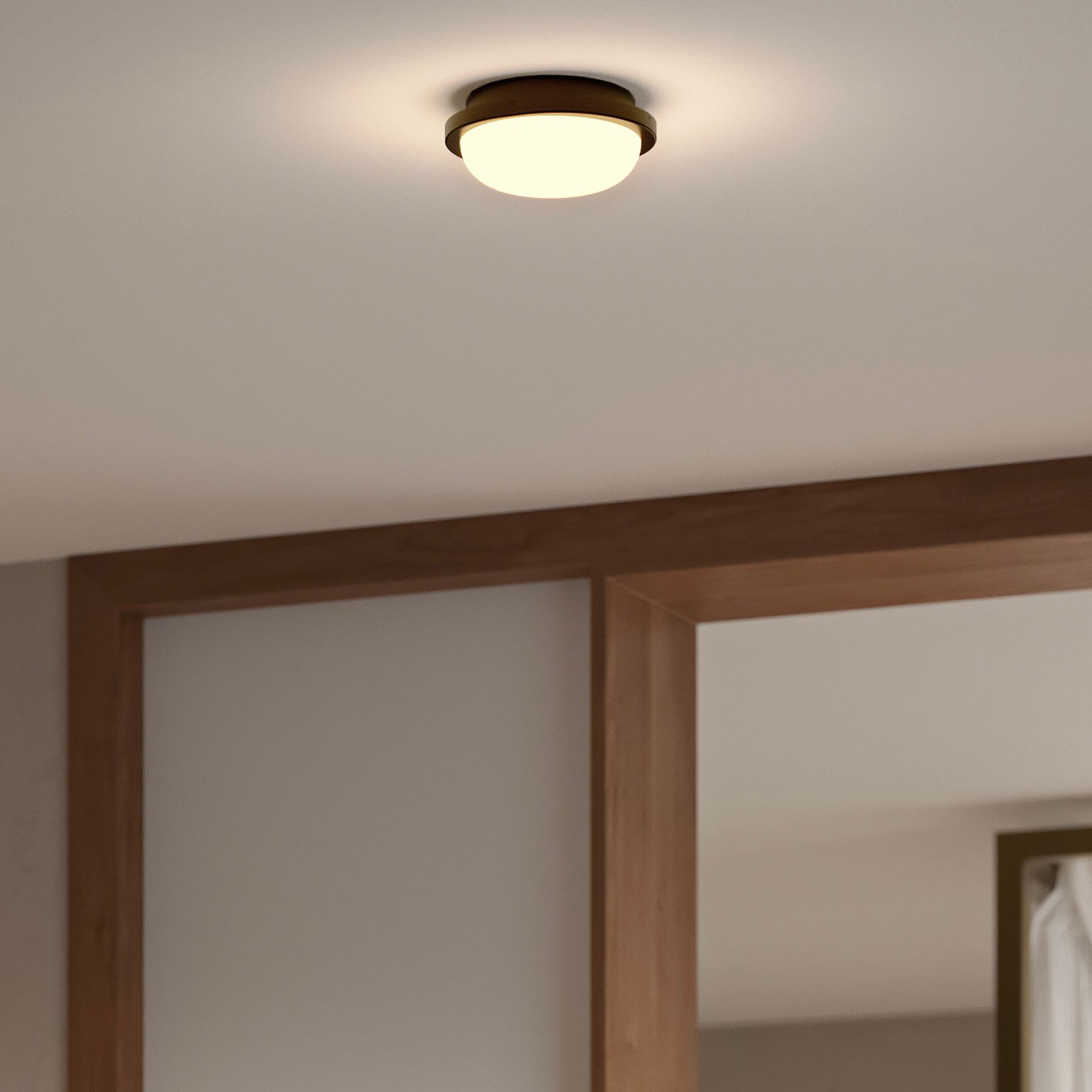 Bode Round Wall/Ceiling Light
