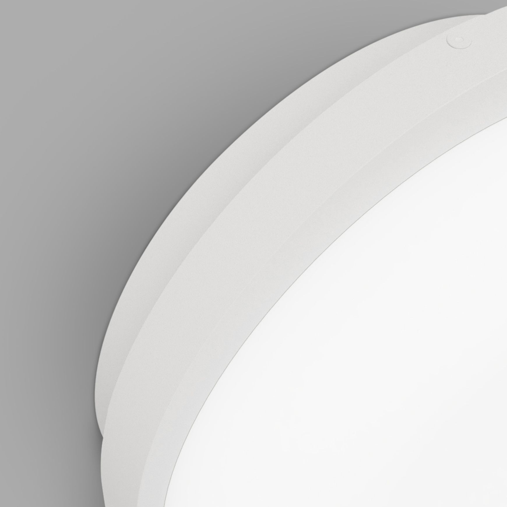 Bode Round Wall/Ceiling Light