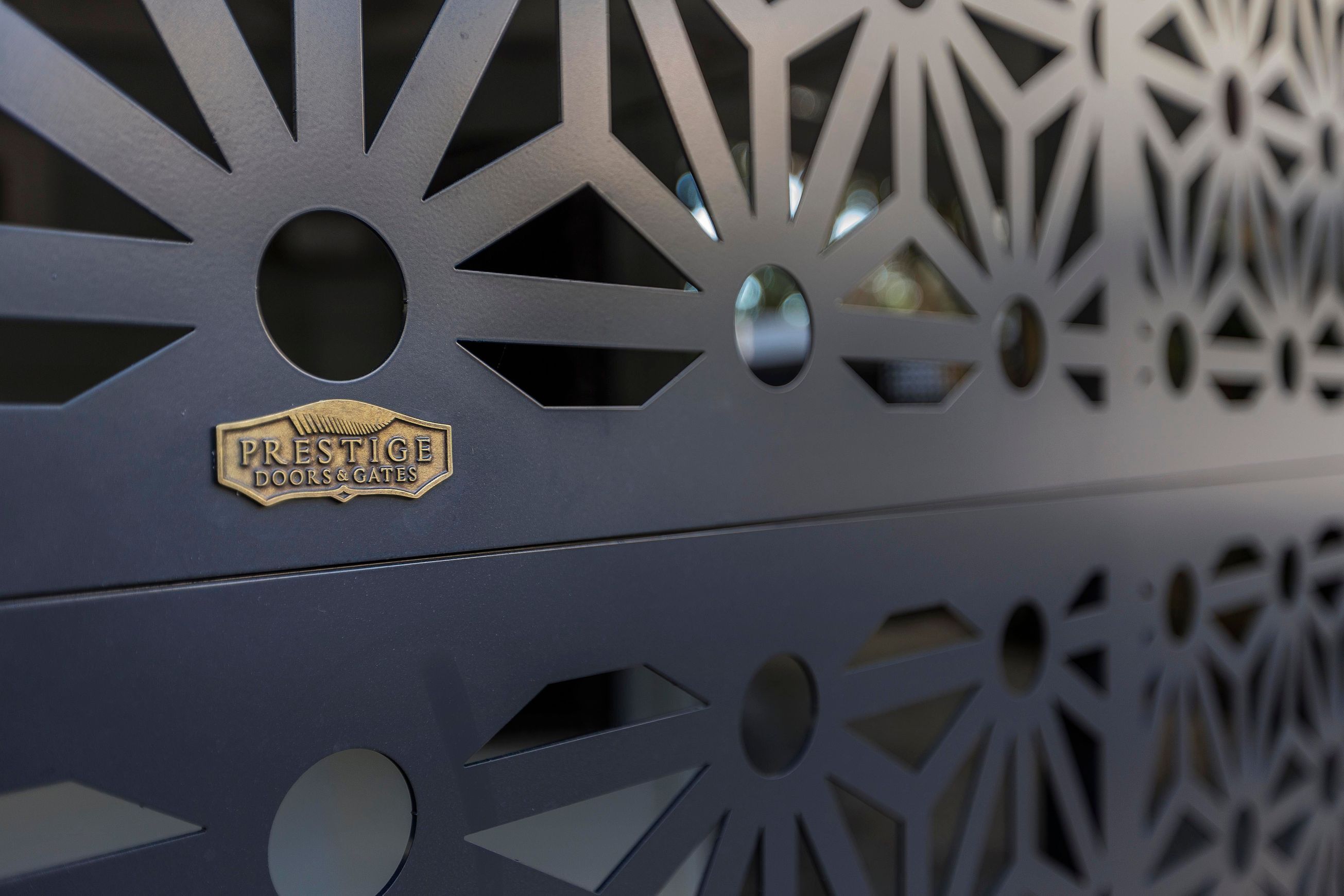 Laser Cut Garage Door