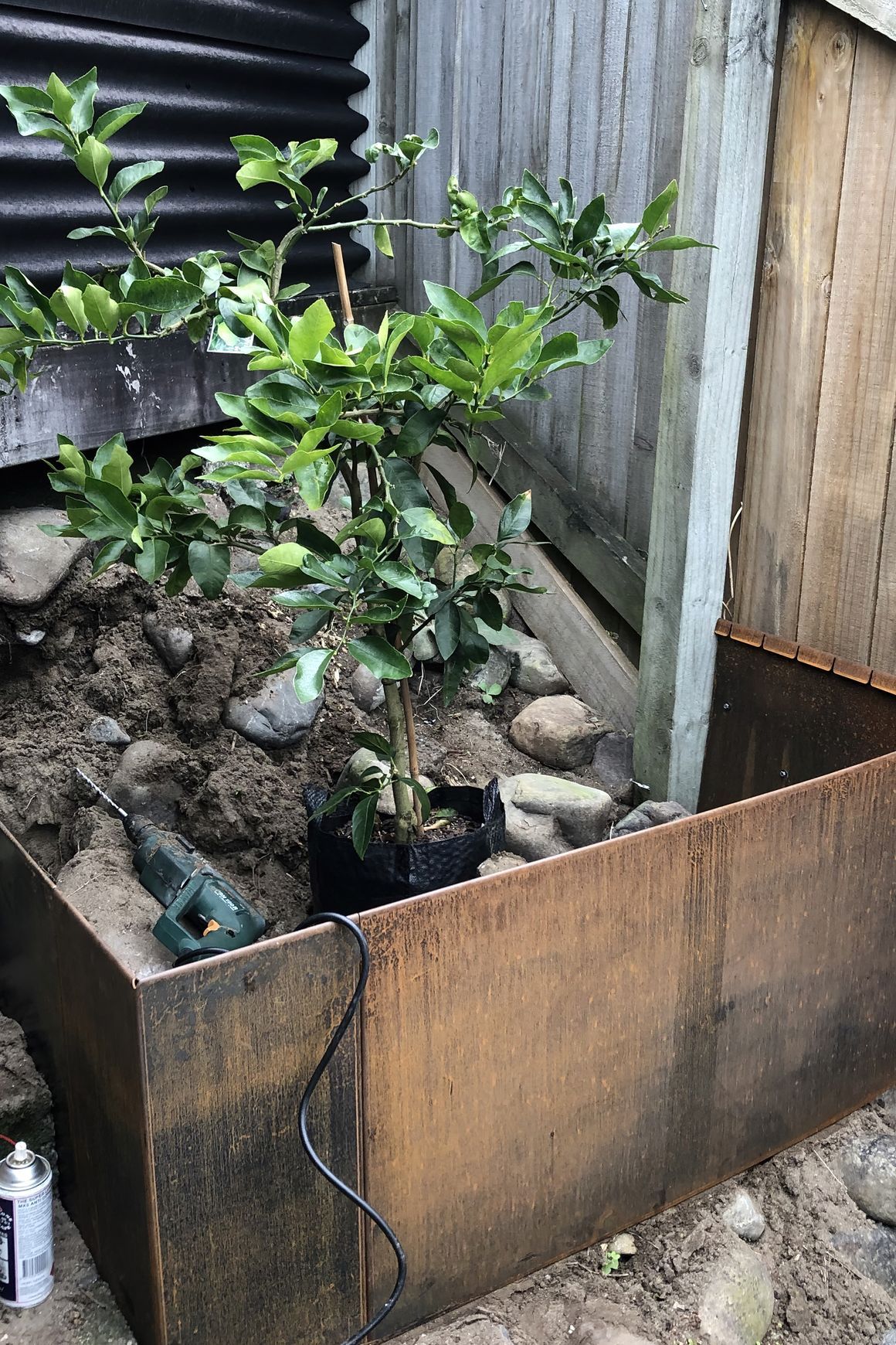 Raised Gardens and Retaining