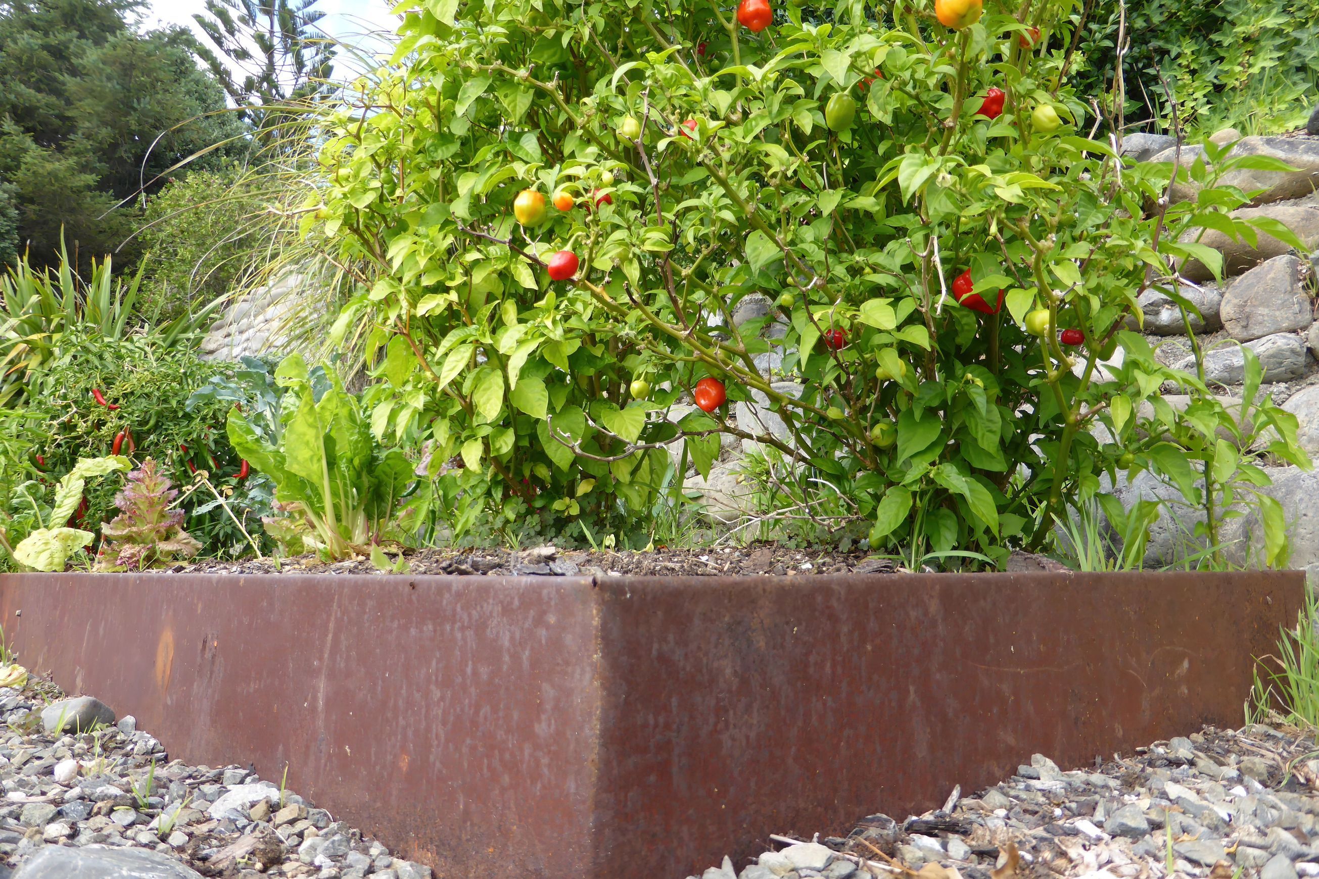Rigid Garden Edging and Retaining