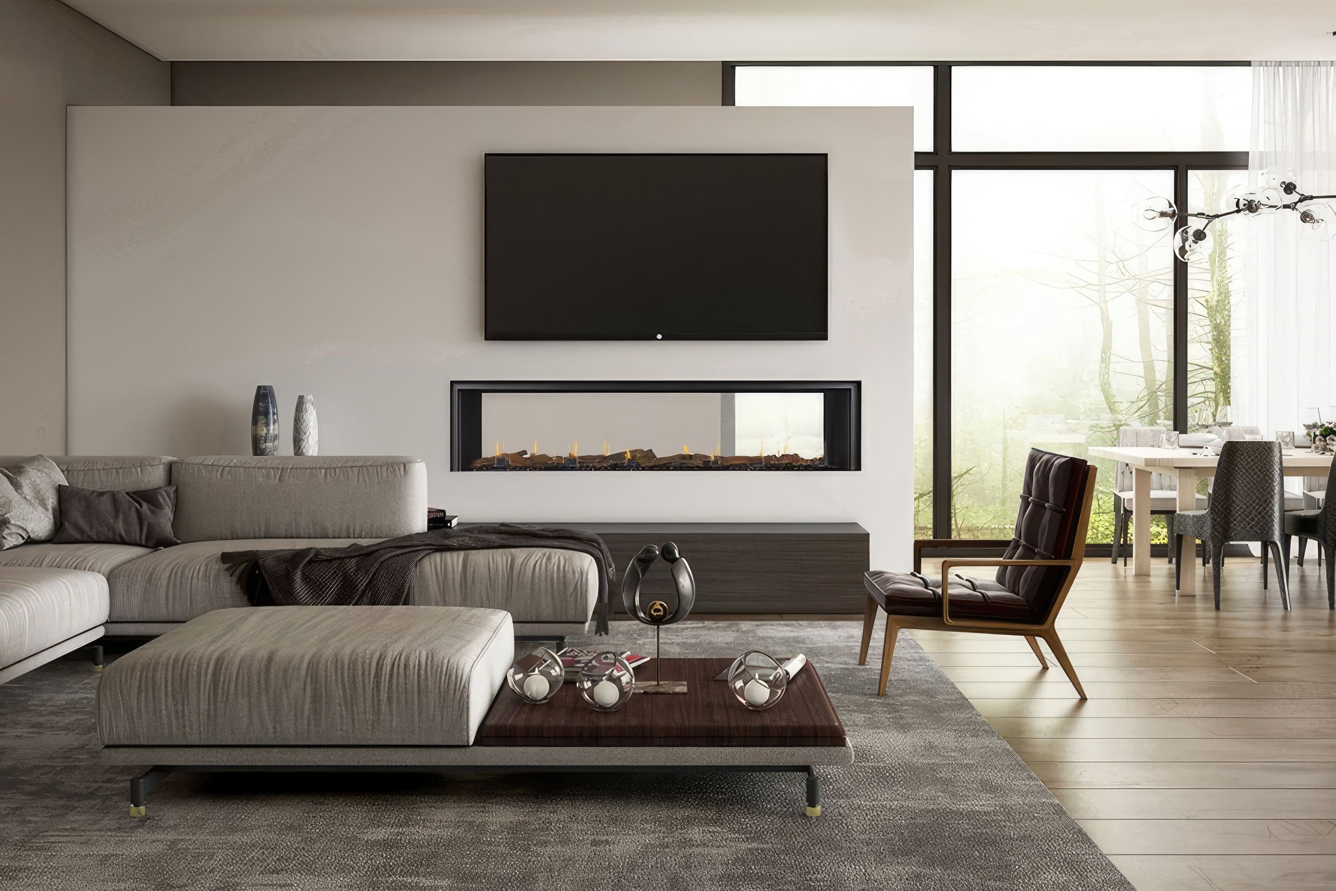 Element Double Sided | Gas Fireplace