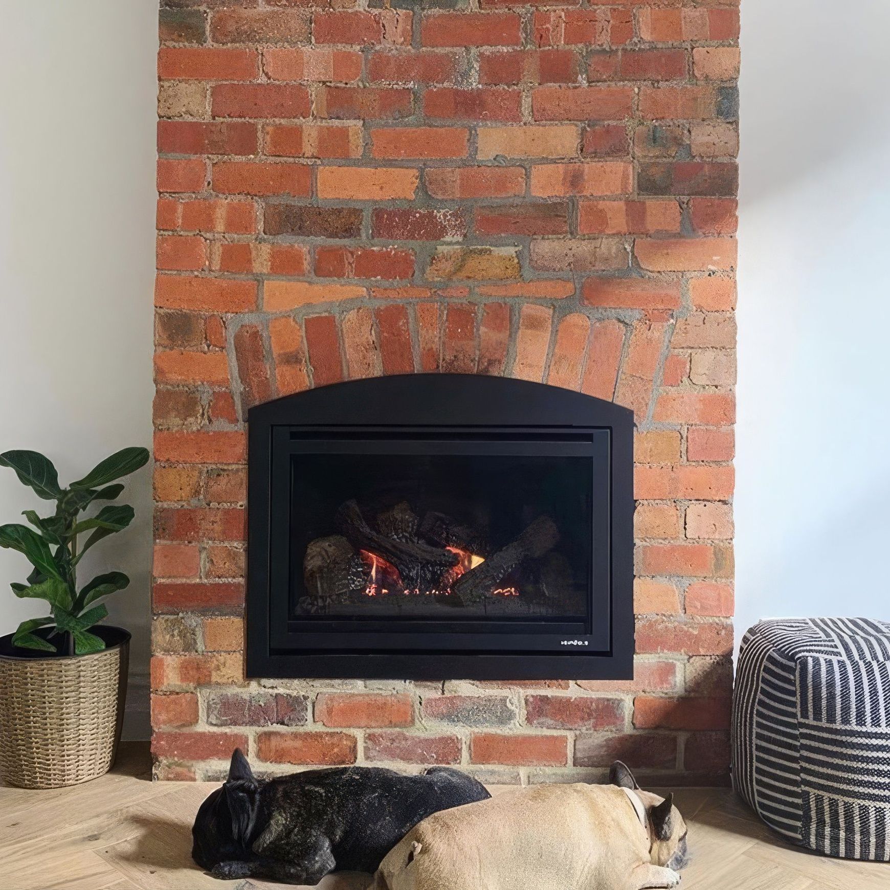 I30-X Insert | Gas Fireplace