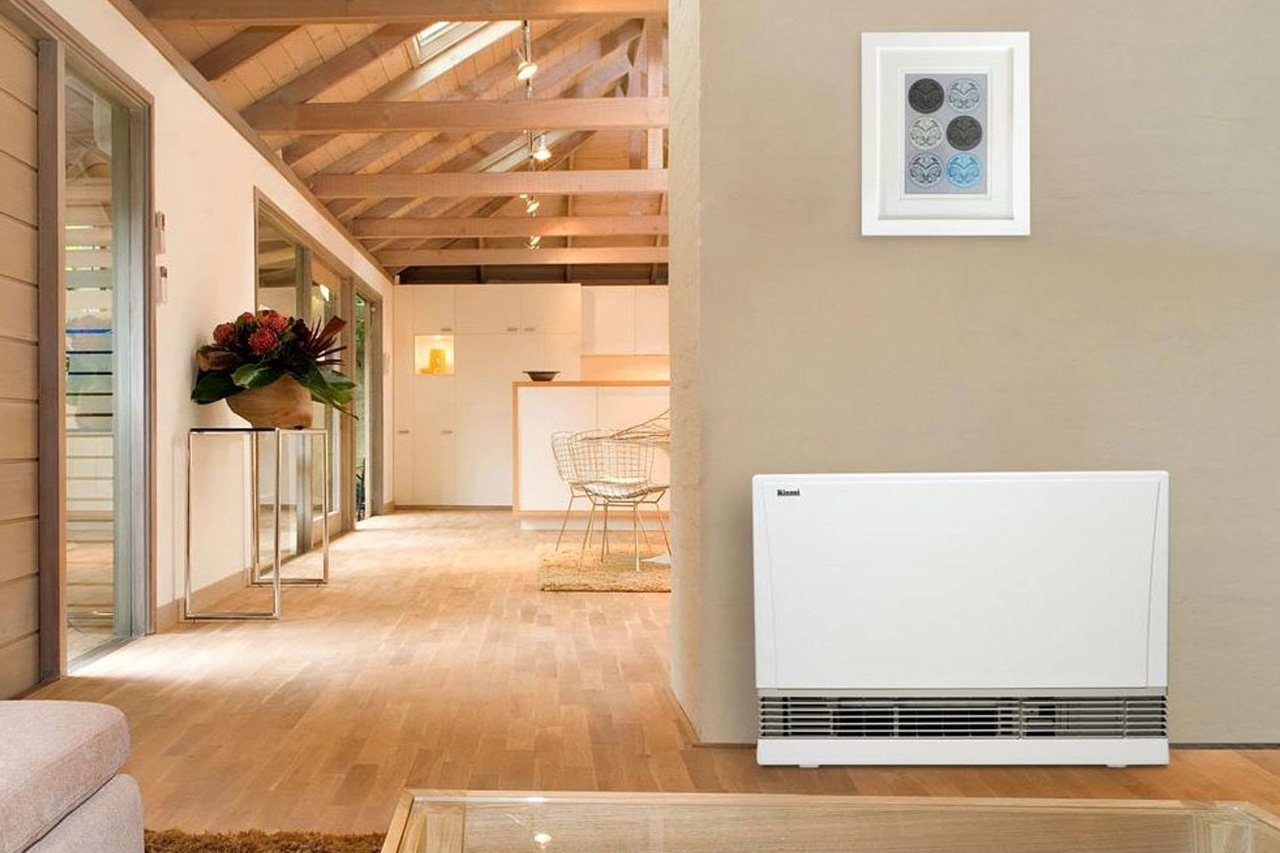 Rinnai Energysaver 1005FT Gas Space Heater
