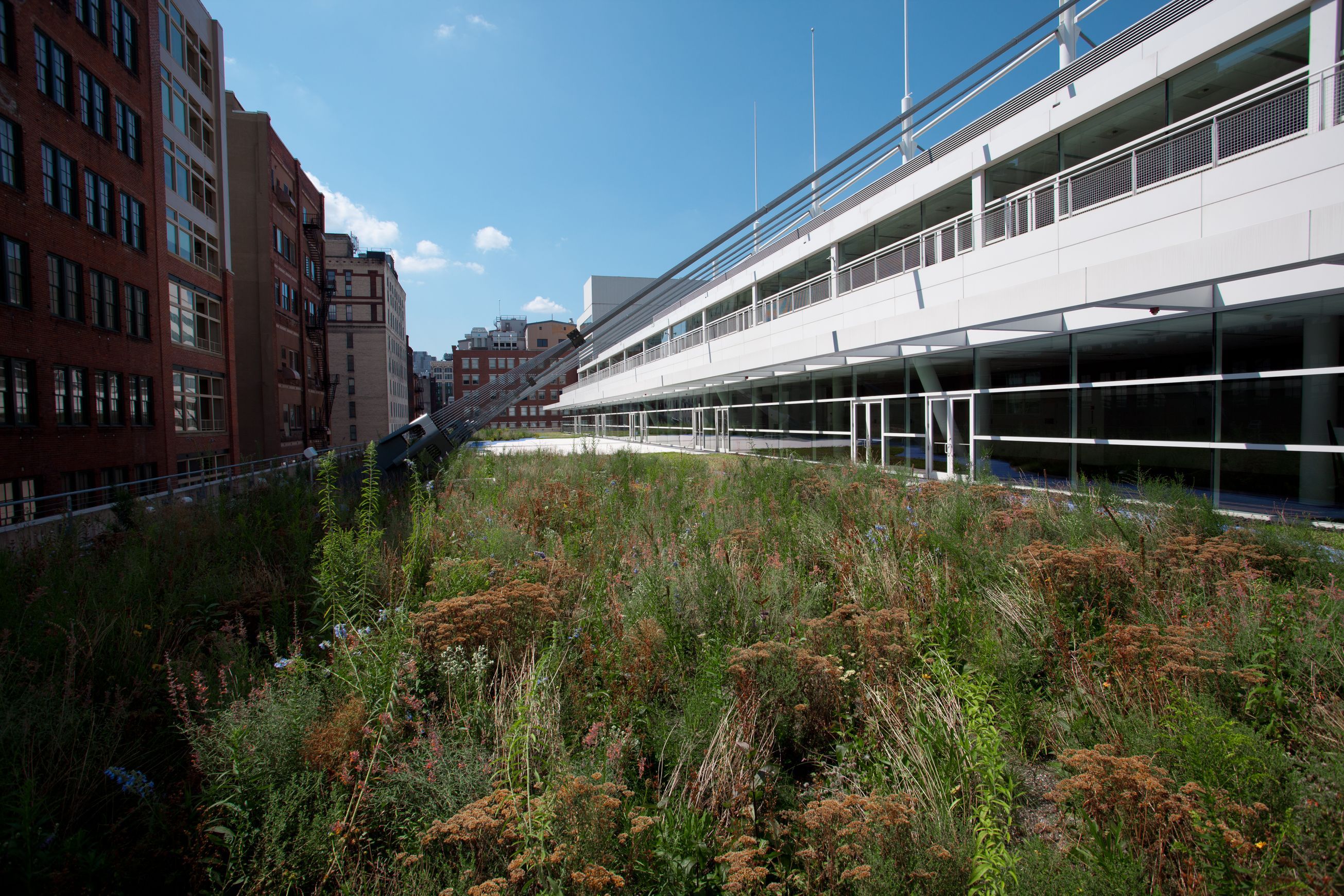 Viking Roof Garden System