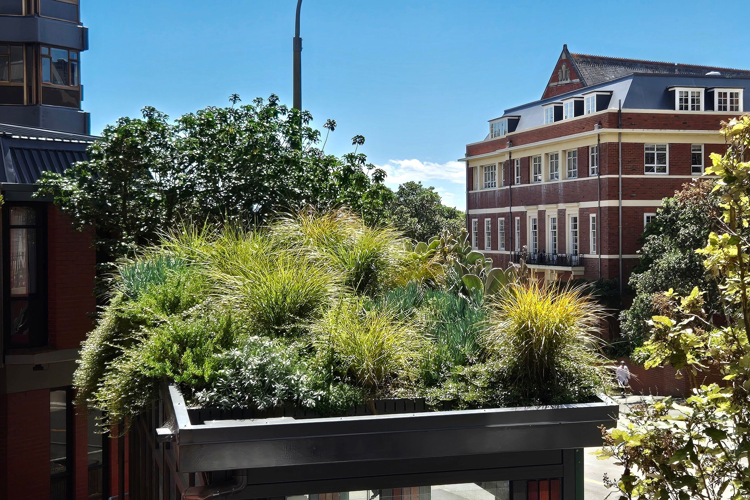 DUOTHERM Green Roof System