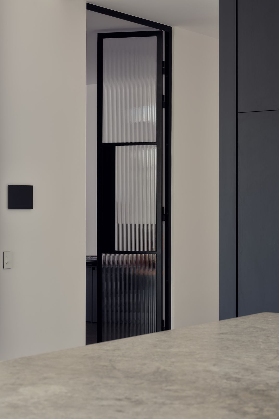 Steel Frame Glass Hinge Doors  - Galvanised FPS50