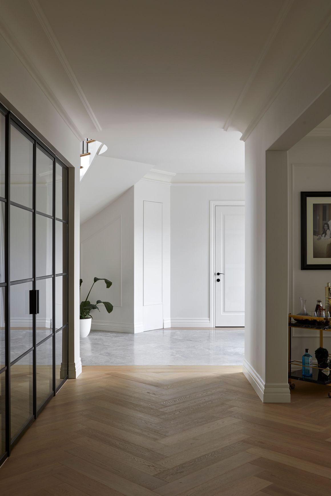 Steel Frame Glass Hinge Doors  - Galvanised FPS50