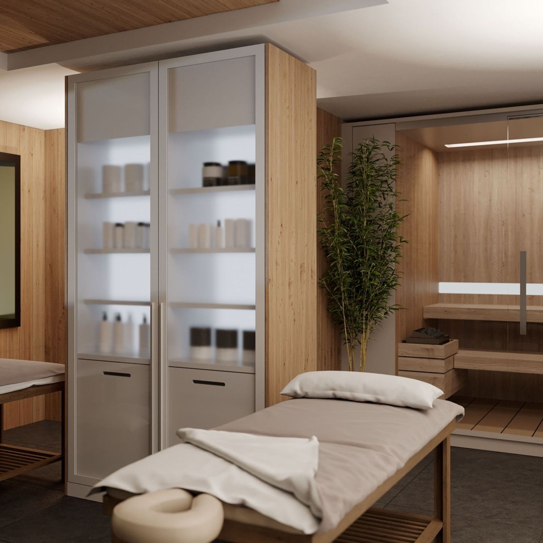 Salice Gravity Pocket Door