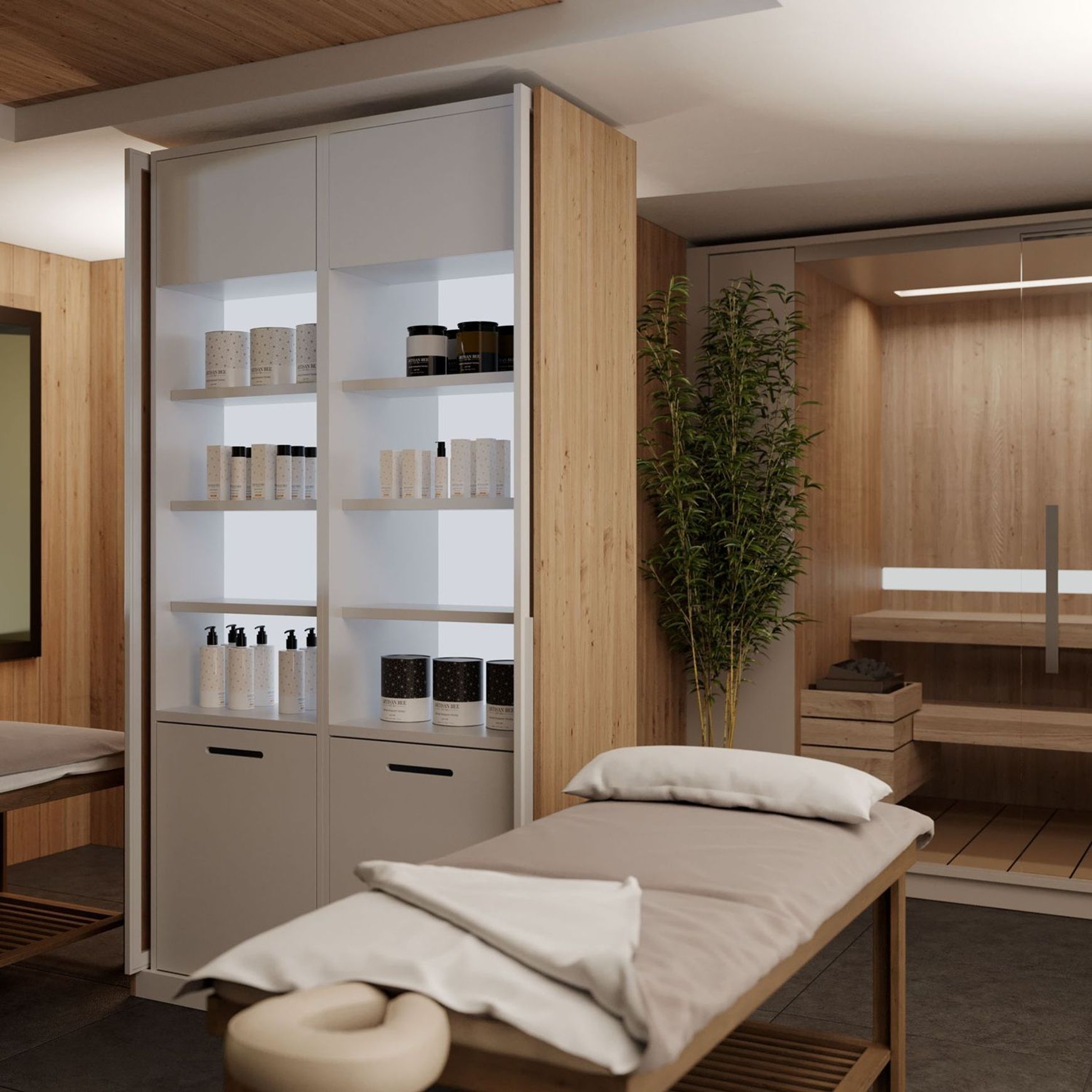 Salice Gravity Pocket Door