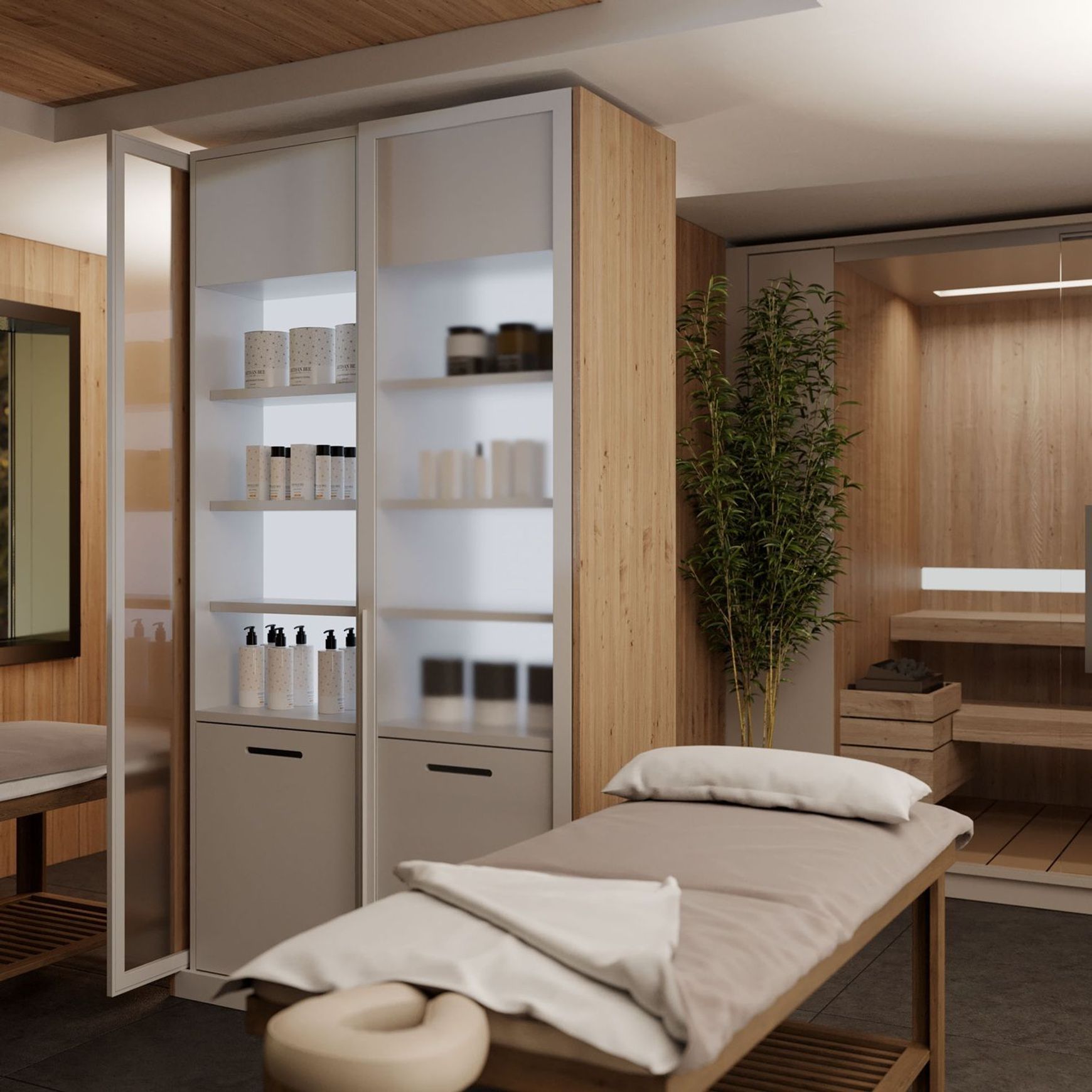 Salice Gravity Pocket Door